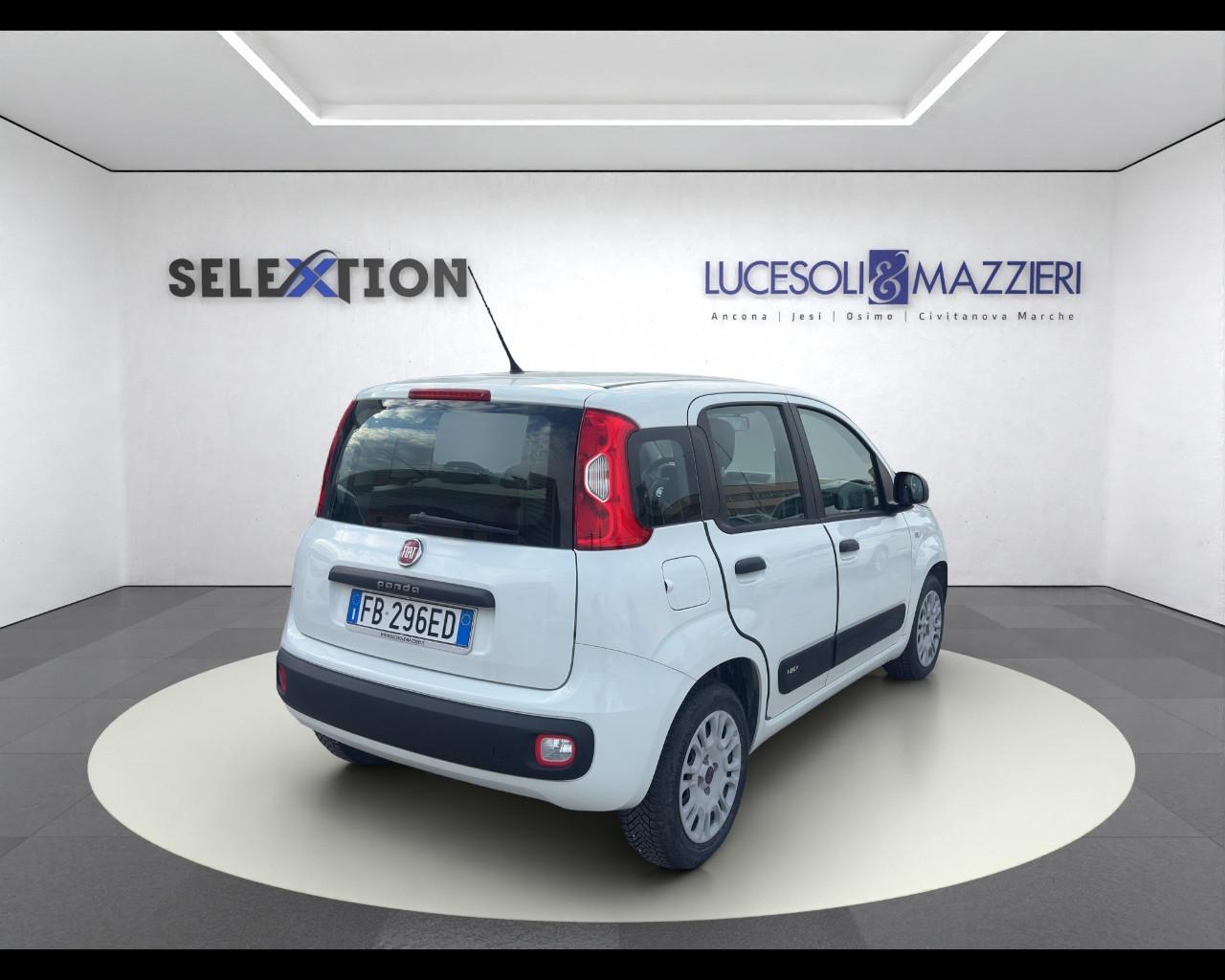 FIAT PANDA - Panda 1.2 Easy