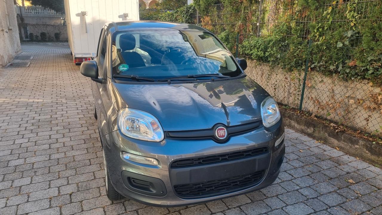 Fiat Panda 1.2 69CV 10/2018 Km 21000 neopat