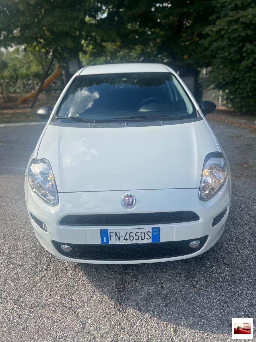 FIAT - Punto - 1.3 MJT II S&S 95 CV 5p. Street
