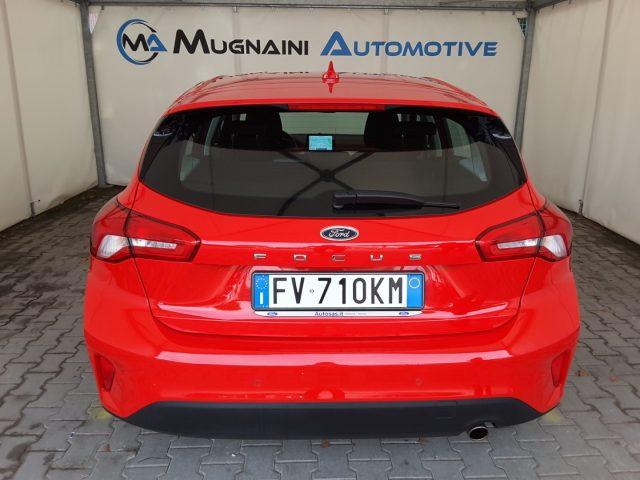 FORD Focus 1.0 EcoBoost 125cv Business *solo 39.000 Km*