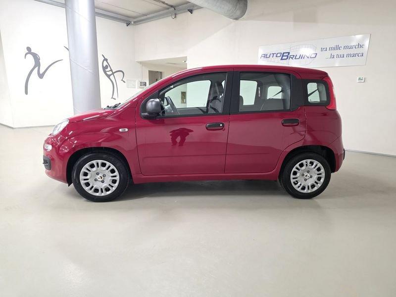 FIAT Panda 1.0 FireFly 70cv S&S Hybrid con Bonus EASY GO'