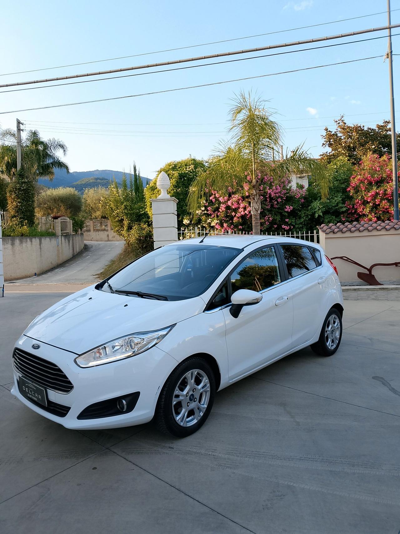 Ford Fiesta 1.4 5 porte Bz.- GPL Black & White Edition
