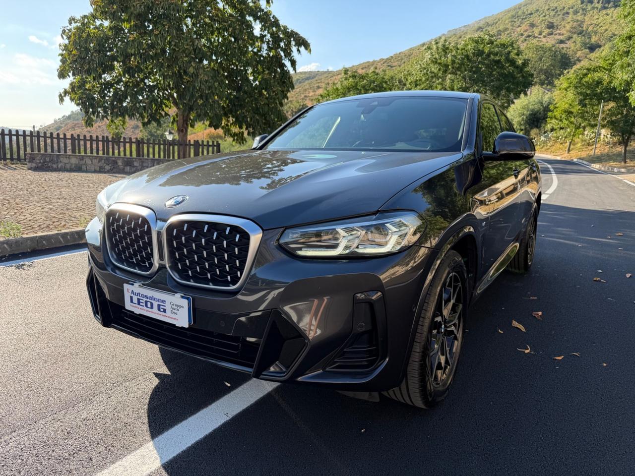 Bmw X4 xDrive20d 48V Msport