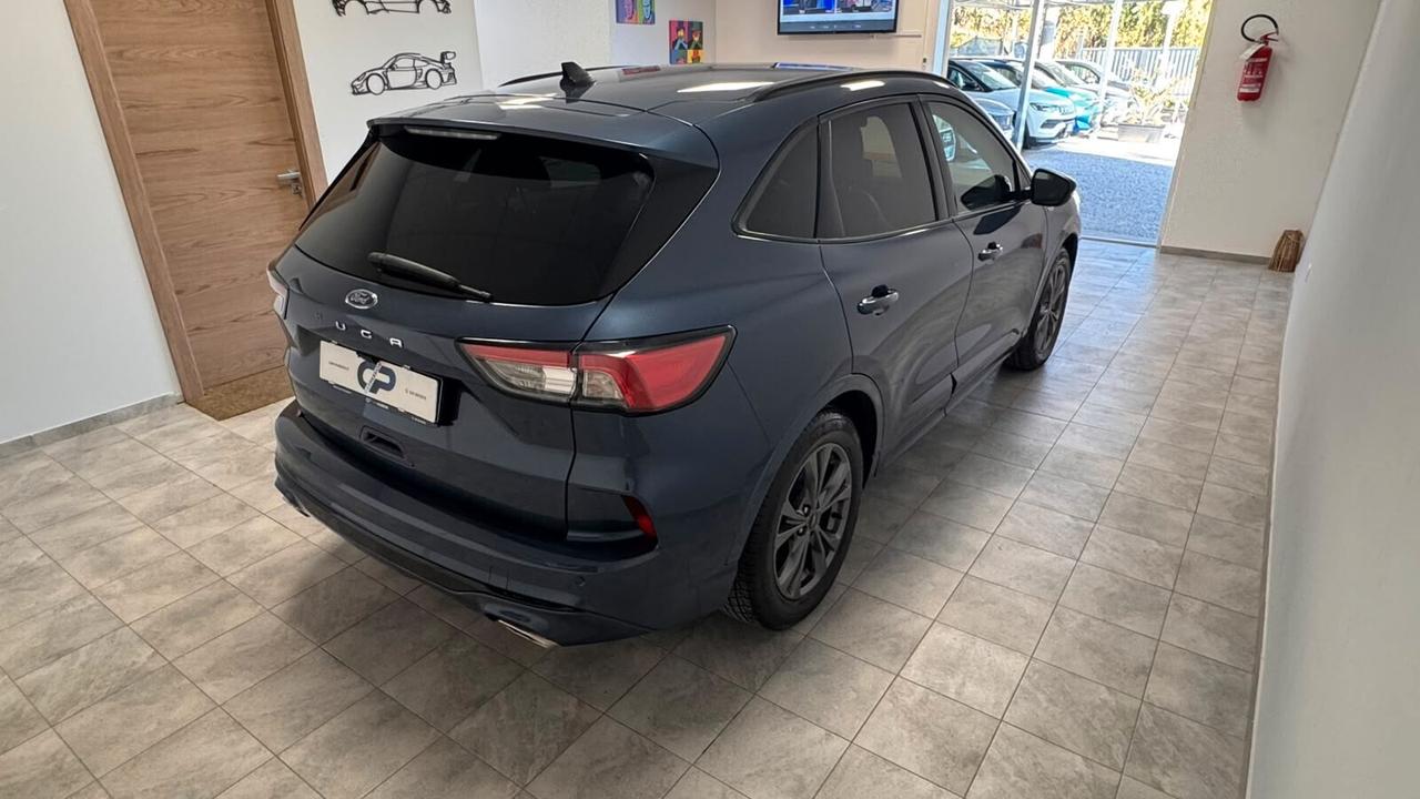 Ford Kuga 1.5 EcoBlue 120 CV aut. 2WD ST-Line X