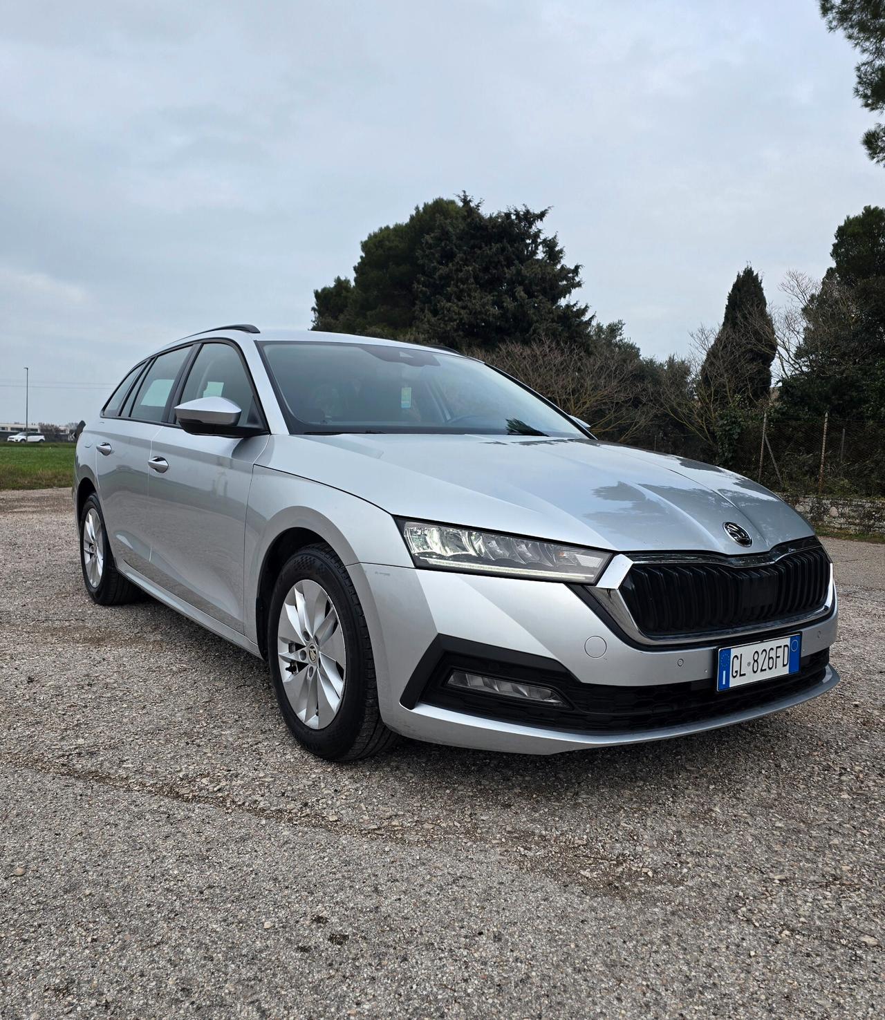 Skoda Octavia 2.0 TDI 116 CV DSG Wagon Executive