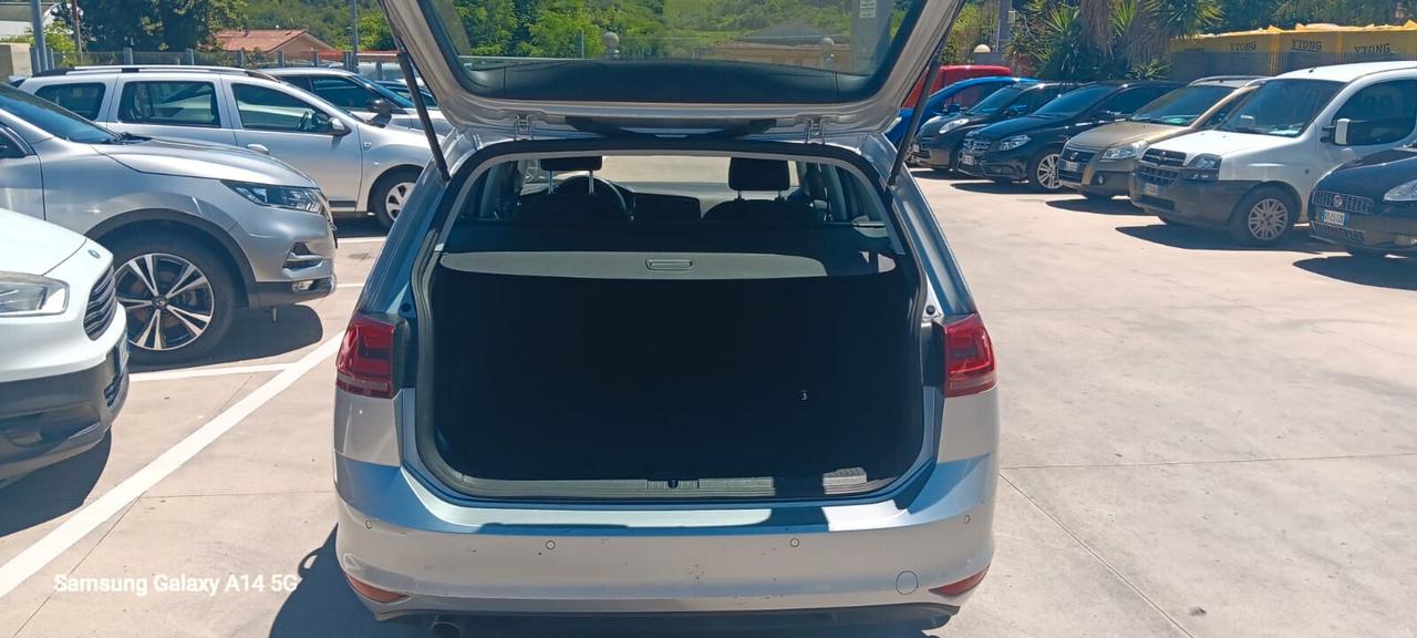 Volkswagen Golf Variant Golf Variant 1.6 TDI 110 CV Executive BlueMotion Technology