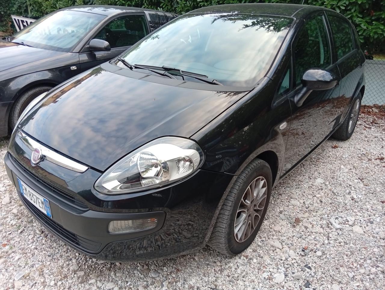Fiat Punto Evo 1.3 Mjt 75 CV DPF 5 porte S&S Dynamic