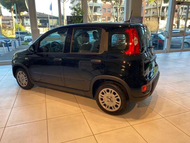 Fiat Panda Panda 1.0 firefly hybrid s