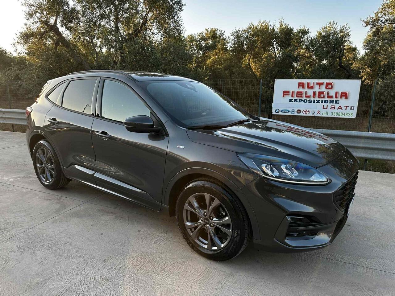 Ford Kuga 2.0 EcoBlue Hybrid 150 CV 2WD ST-Line