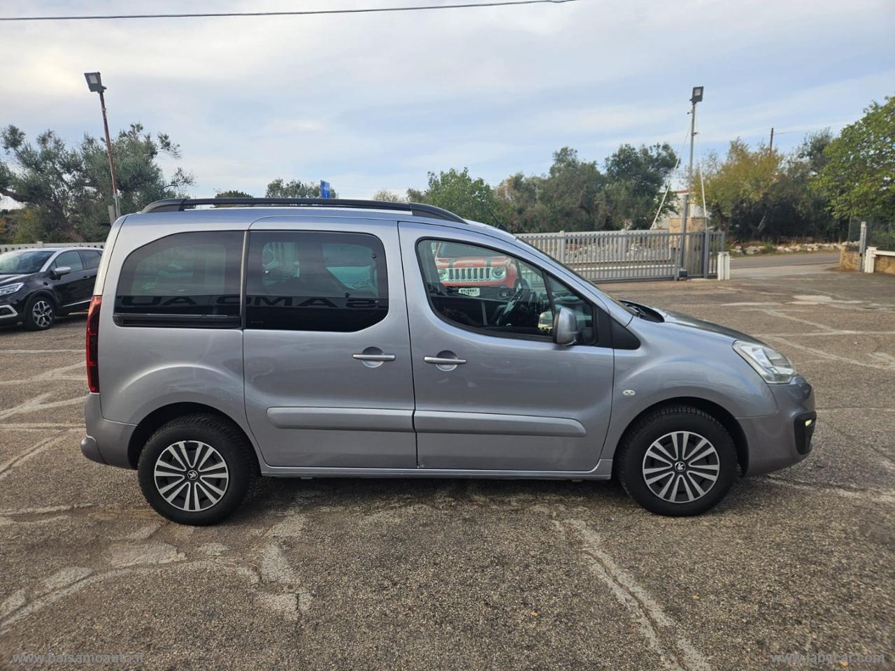 Partner Tepee BlueHDi 100 N1