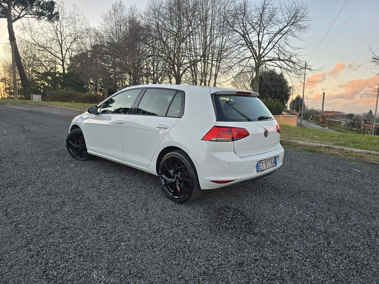Volkswagen Golf 1.6 TDI 5p. Highline BlueMotion