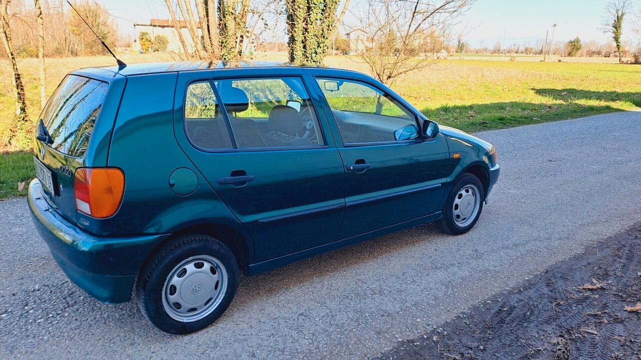 Volkswagen Polo 1.4 cat 5 porte Comfort