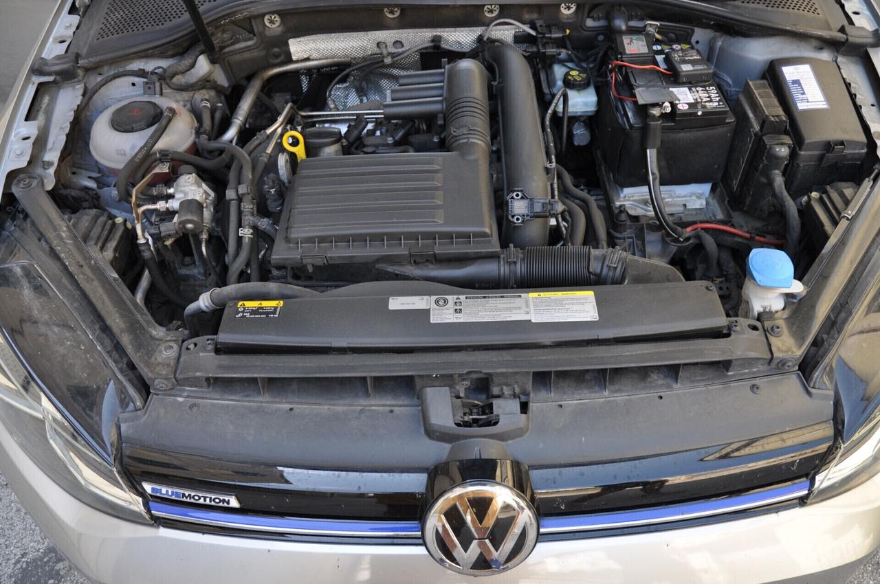 Volkswagen Golf 1.4 TGI DSG 5p. Highline BlueMotion