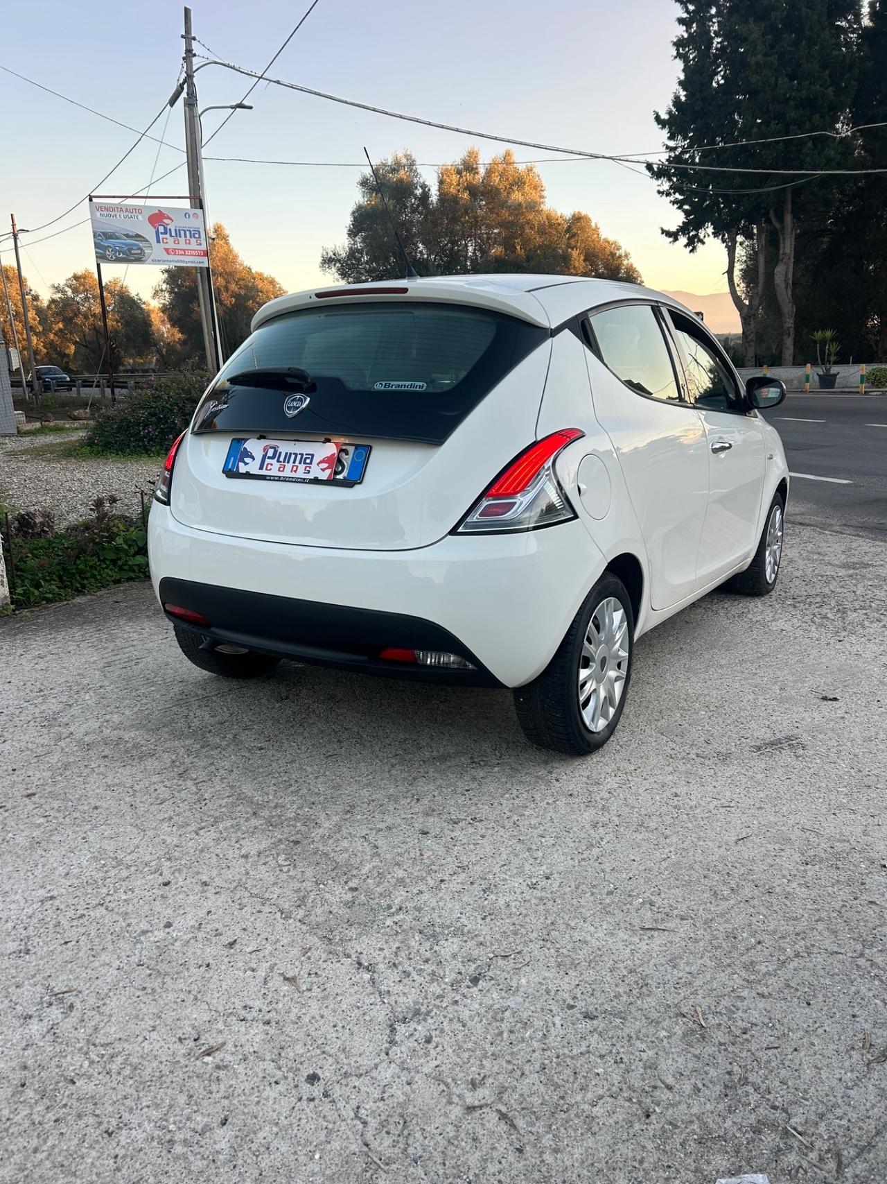 Lancia Ypsilon 1.2 69 CV 5 porte S&S Platinum