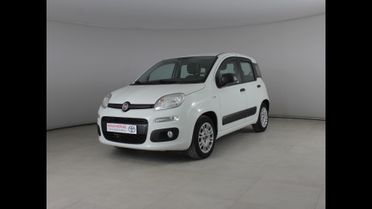 FIAT Panda III 2016 - Panda 1.2 Easy easypower Gpl 69cv