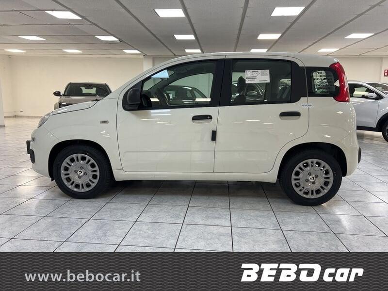FIAT Pandina 1.0 FireFly 65cv S&S 6m Hybrid Icon