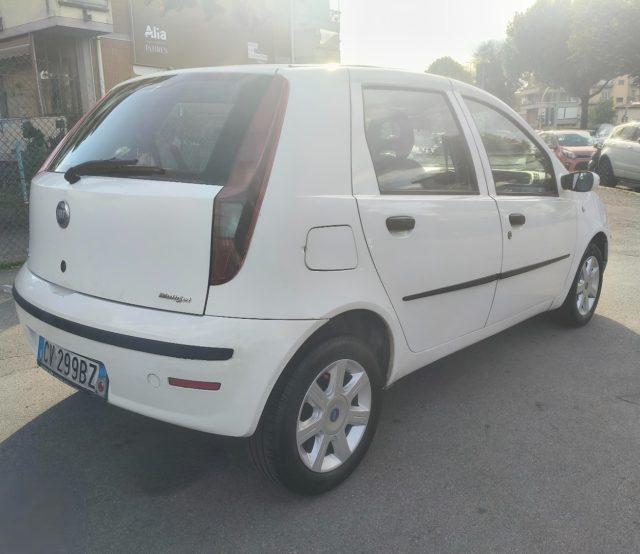 FIAT Punto 1.3 Multijet 16V 5 porte Dynamic Ok Neopatentati