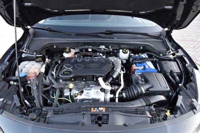 FORD Focus 1.5 EcoBlue 120 CV aut. SW Business