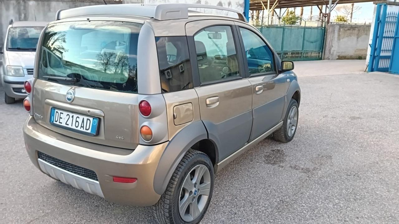 Fiat Panda cross 4 × 4-1.3 mjt-2007