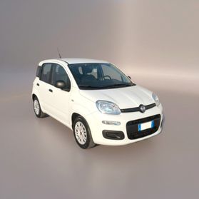 FIAT Panda 3ª serie Panda 1.0 FireFly S&S Hybrid