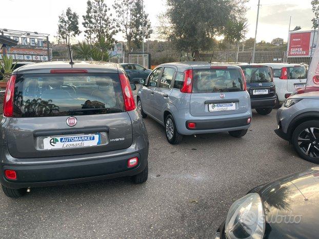 Fiat Panda Fiat Panda 2021/2022 vari colori