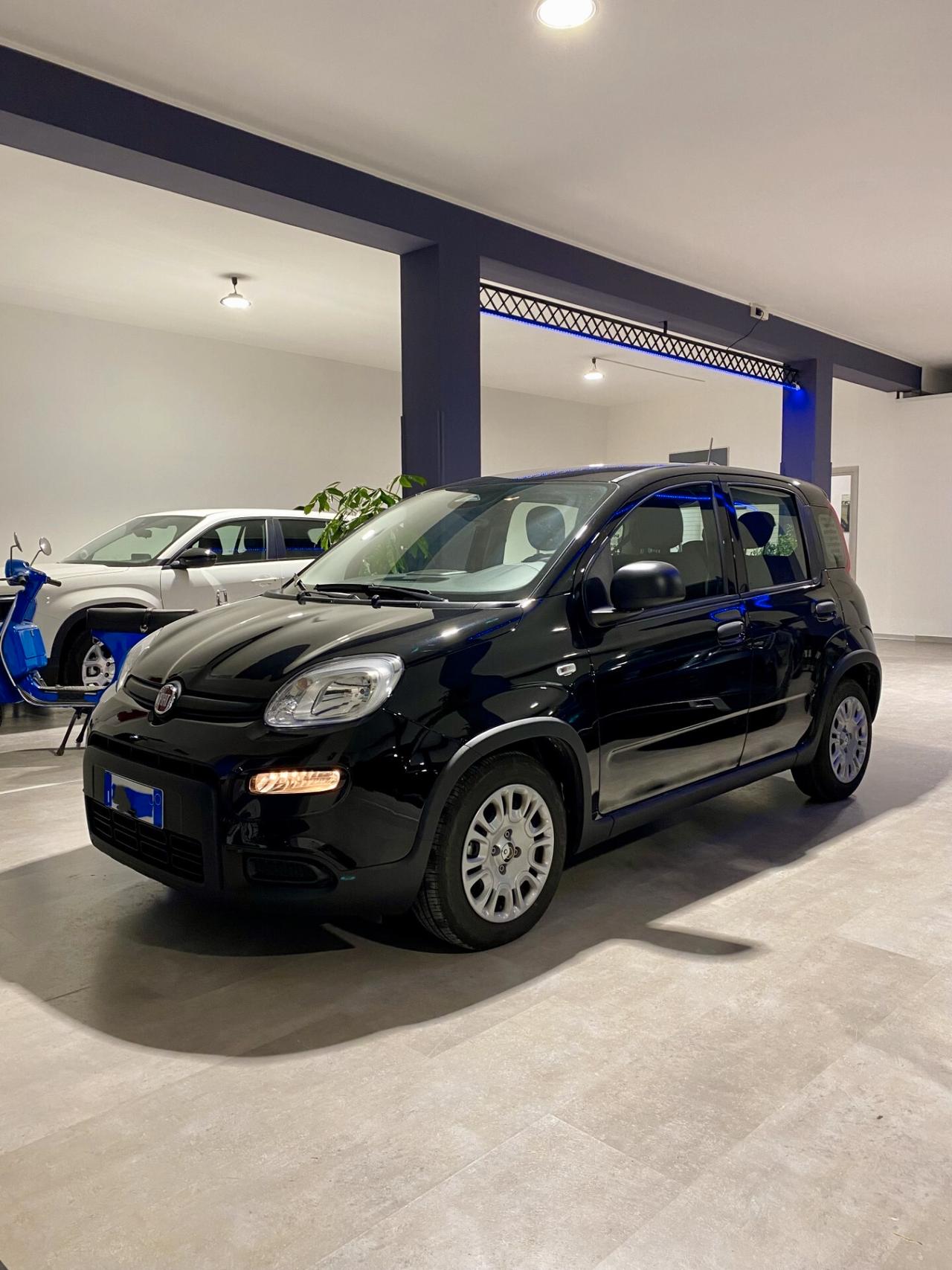 Fiat Panda 1.0 FireFly S&S Hybrid Pandina