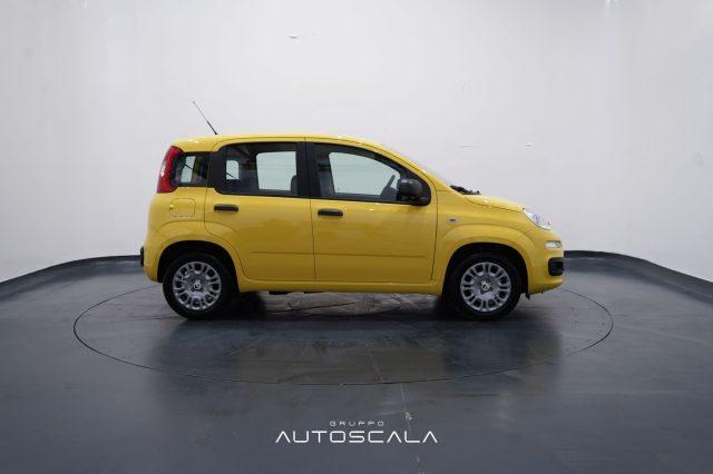 FIAT New Panda My25 1.0 FireFly S&S Hybrid