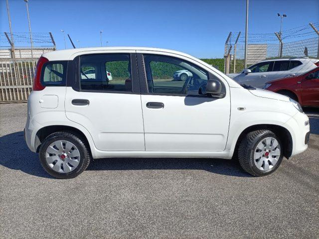 FIAT Panda 1.2 Pop OTTIME CONDIZIONI, PREZZO REALE!!