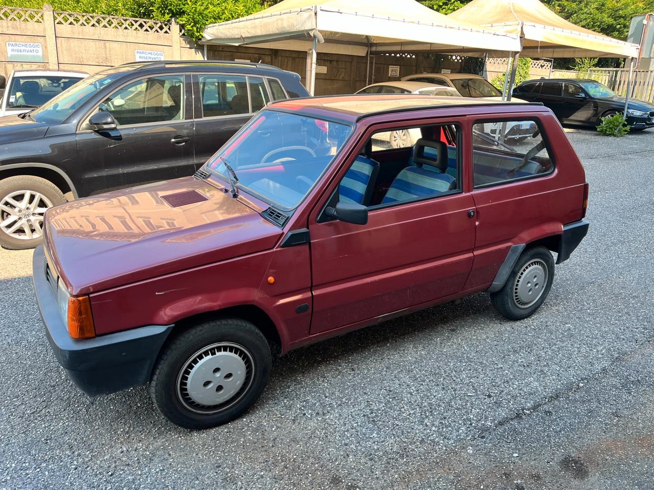 Fiat Panda 900 i.e. cat Young