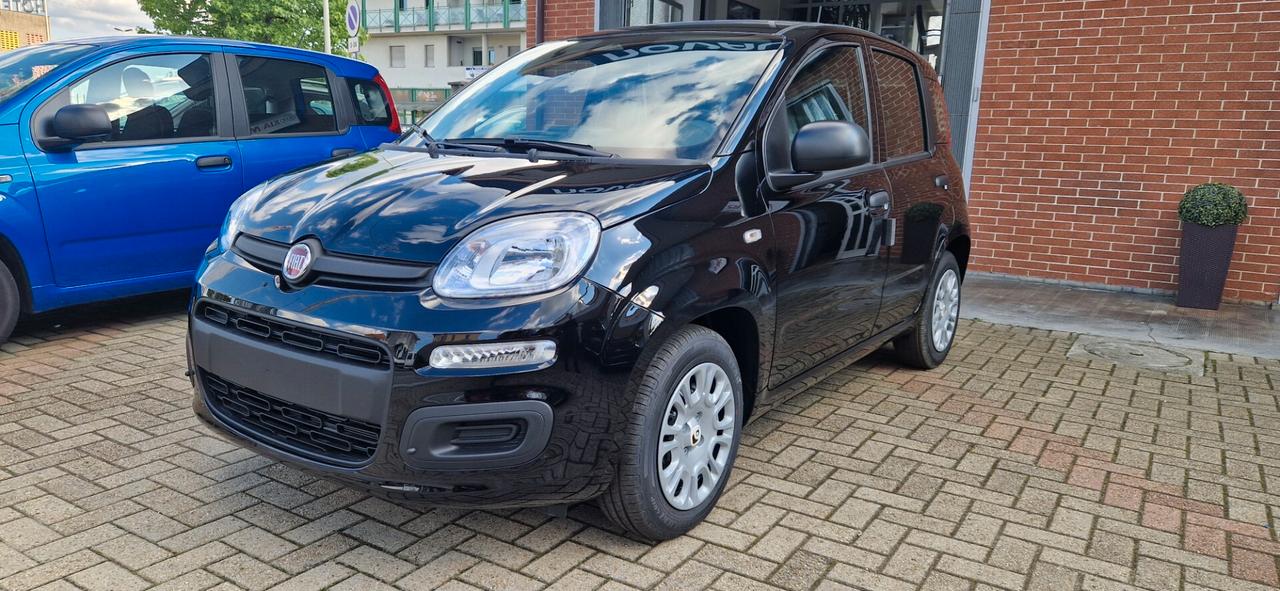 Fiat Panda 1.0 FireFly S&S Hybrid Icon