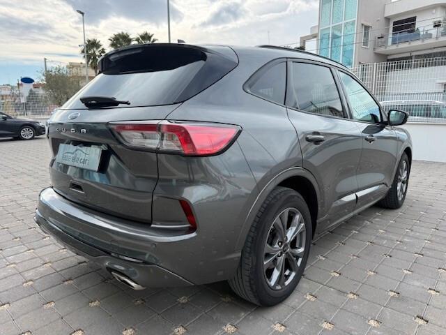 Ford Kuga 1.5 EcoBlue 120 CV 2WD ST-Line 2022