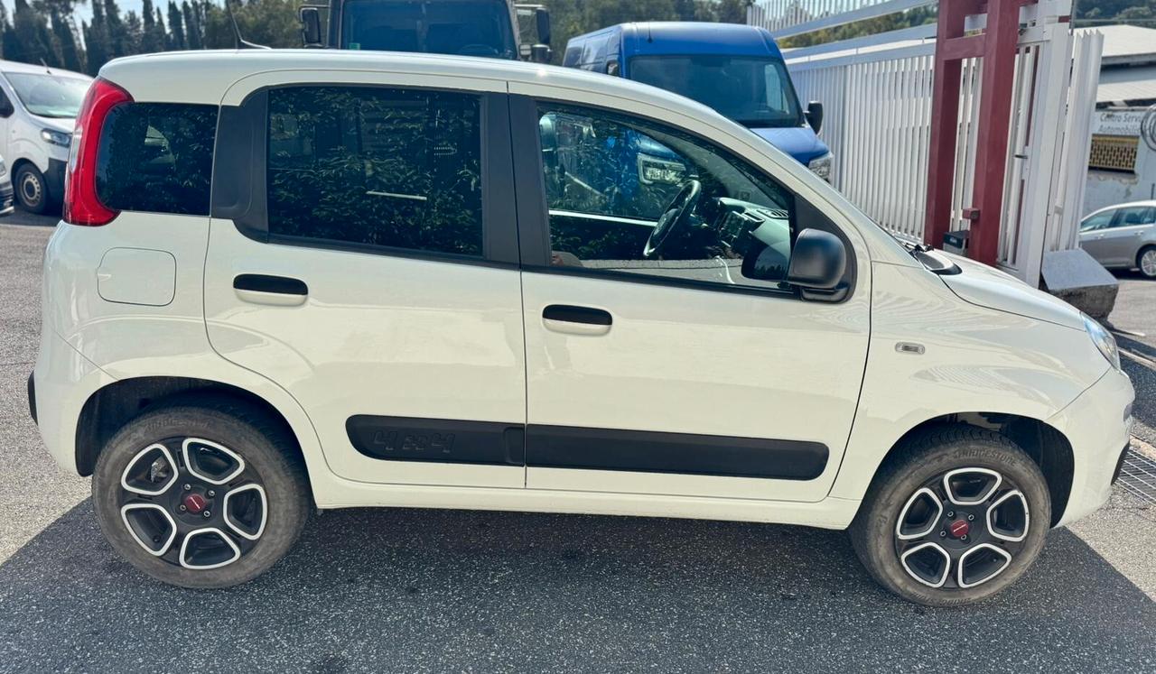 Fiat Panda 0.9 TwinAir Turbo S&S 4x4 Pop Van 2 posti
