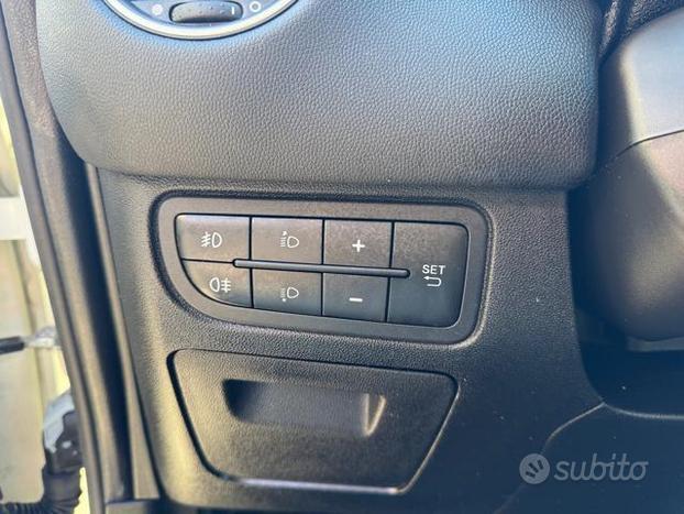 FIAT Punto 1.3 MJT II 75 CV 5 porte Lounge OK NE