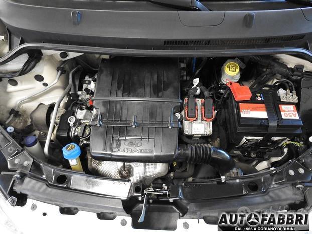 FORD - Ka - + 1.2 8V 69 CV