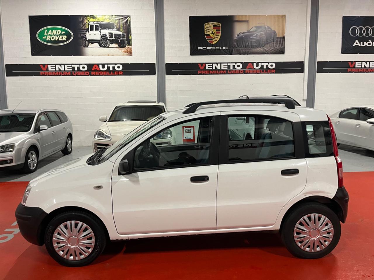 Fiat Panda 1100 i.e. cat Young