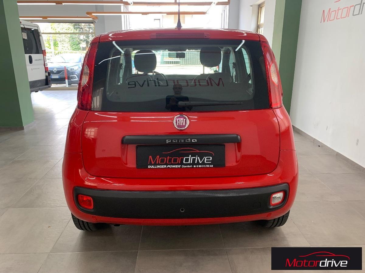 FIAT - Panda - 1.2 Easy