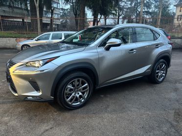 Lexus NX 300h Hybrid 4WD Luxury