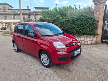 Fiat Panda 1.0 FireFly S&S Hybrid Pandina