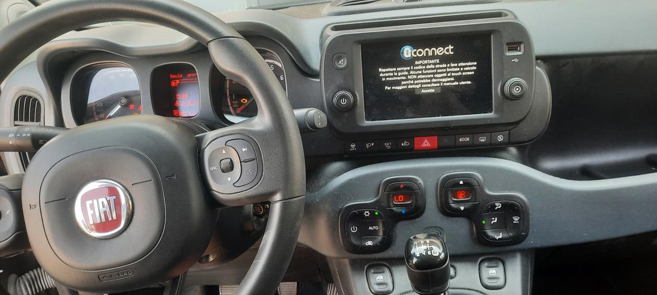 Fiat Panda 1.0 FireFly S&S Hybrid City Cross anno 2023