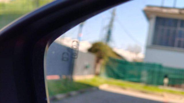 JEEP Avenger 1.2 Turbo 100 CV Summit PREZZO PROMO