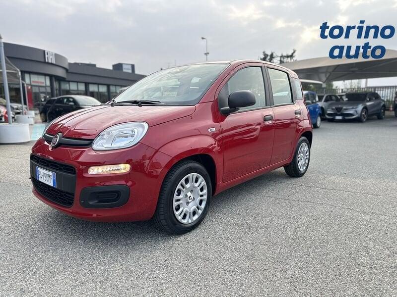 FIAT Pandina Pandina 1.0 firefly hybrid Icon s&s 70cv