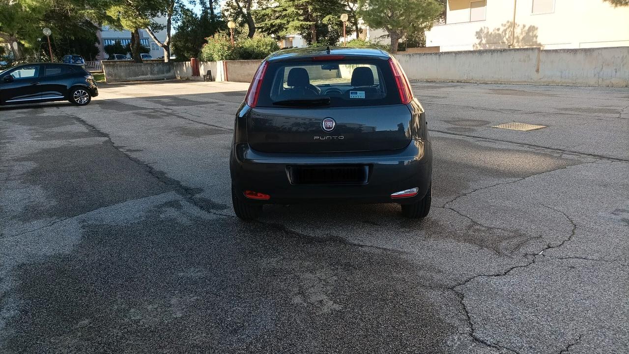 Fiat Punto 1.2 8V 5 porte Street GPL
