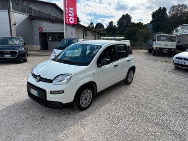 Fiat Panda 1.0 FireFly S&S Hybrid km 23.000