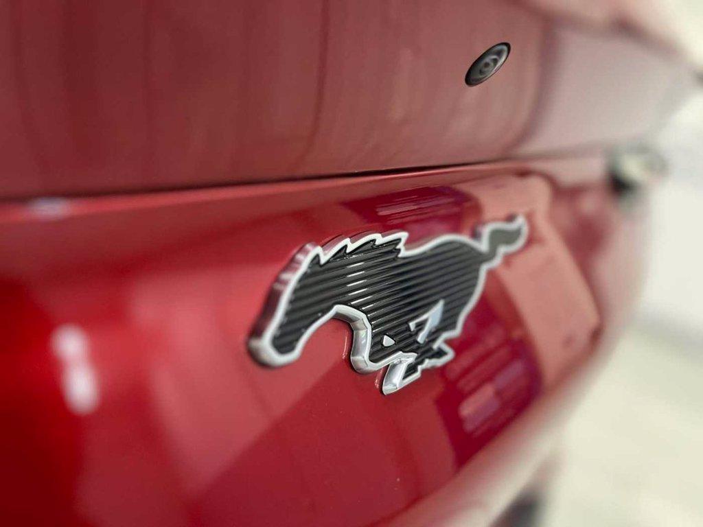 FORD Mustang Mach-E Elettrico Standard 269CV del 2021