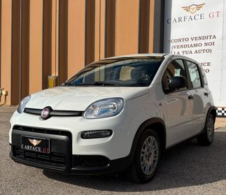 Fiat Panda 1.0 69CV NEOPATENTATI - 2024