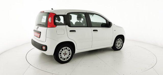 FIAT Panda 1.2 EasyPower Easy - OK NEOPATENTATO