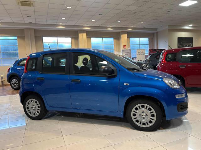 FIAT Panda 1.0 FireFly S&S Hybrid Pandina