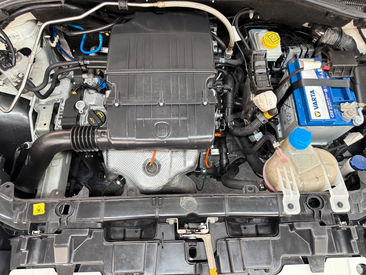 Fiat Punto 1.4 8V 5 porte Natural Power Lounge METANO