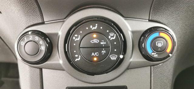 FORD Fiesta 1.5 TDCi 75CV - AUTOCARRO - Business N1