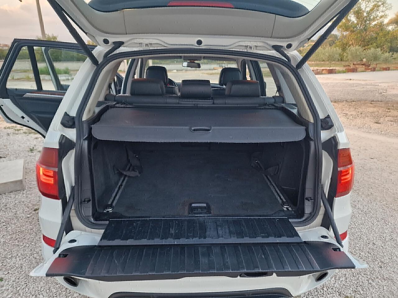 BMW X5 xDrive30d Futura - 2011